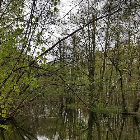 Schnuckelige Mitten In Der Seenplatte Apartment Blankensee (Mecklenburg-Vorpommern)