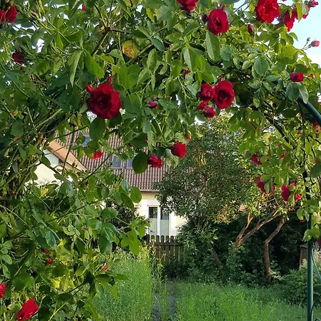 Schnuckelige Mitten In Der Seenplatte Apartment *