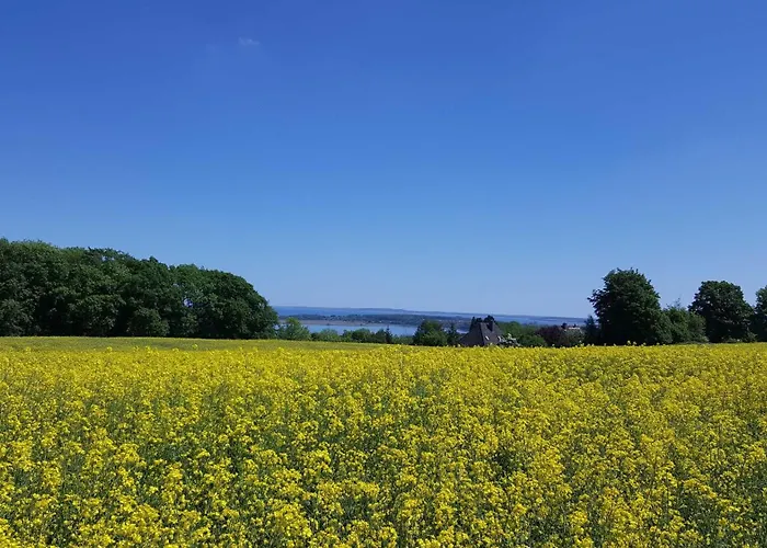 Schnuckelige Mitten In Der Seenplatte *