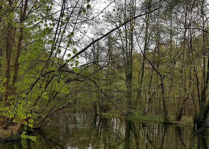 Schnuckelige Mitten In Der Seenplatte شقة Blankensee (Mecklenburg-Vorpommern)